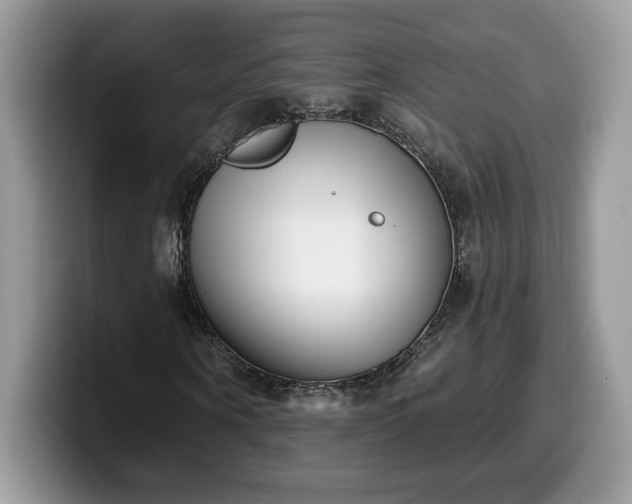 X0000099970866200805301332