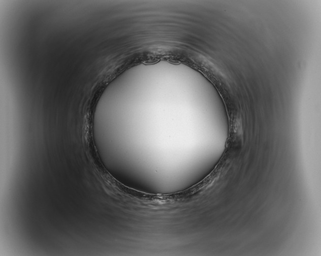 X0000099970868200805301332