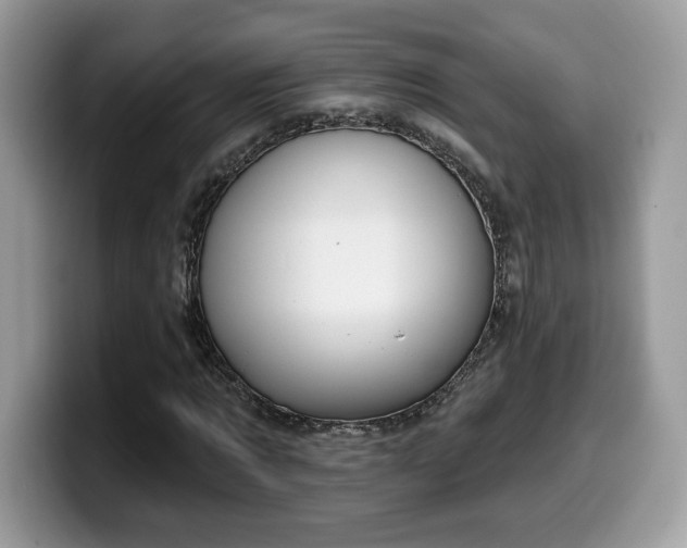 X0000099970869200805301332