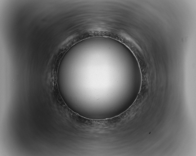 X0000099970870200805301332