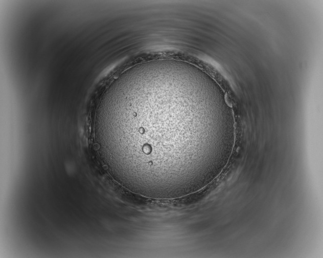 X0000099970871200805301332