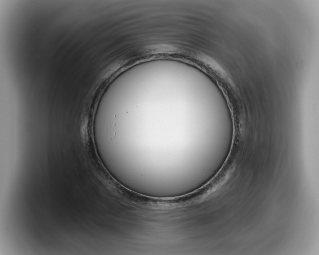 X0000099970873200805301332