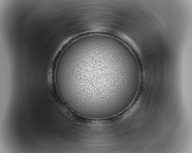 X0000099970875200805301332