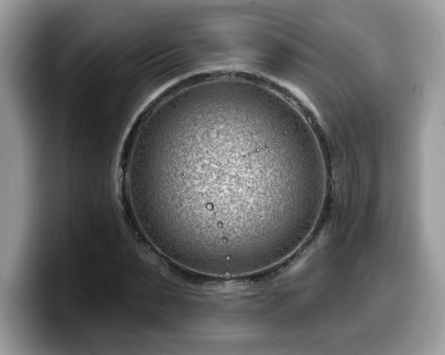 X0000099970879200805301332