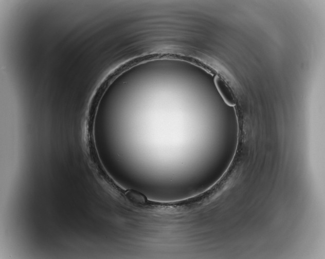 X0000099970880200805301332