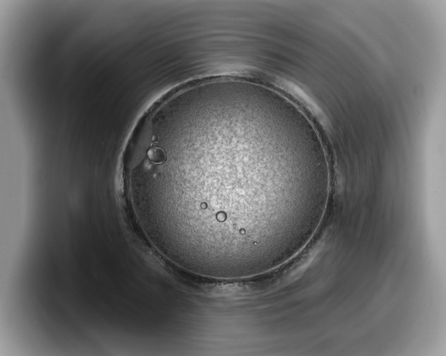 X0000099970883200805301332