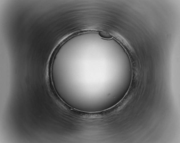 X0000099970884200805301332