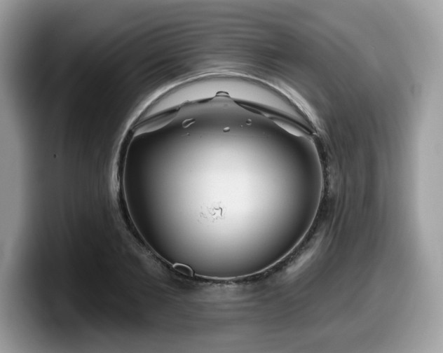 X0000099970885200805301331