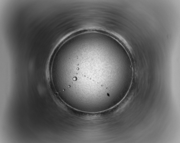 X0000099970887200805301331