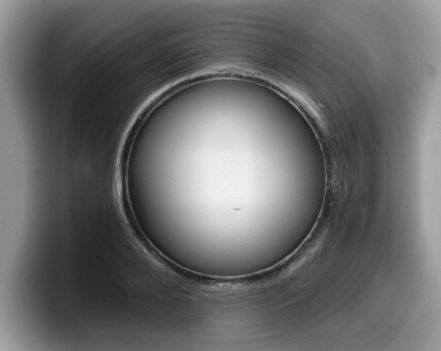 X0000099970888200805301331