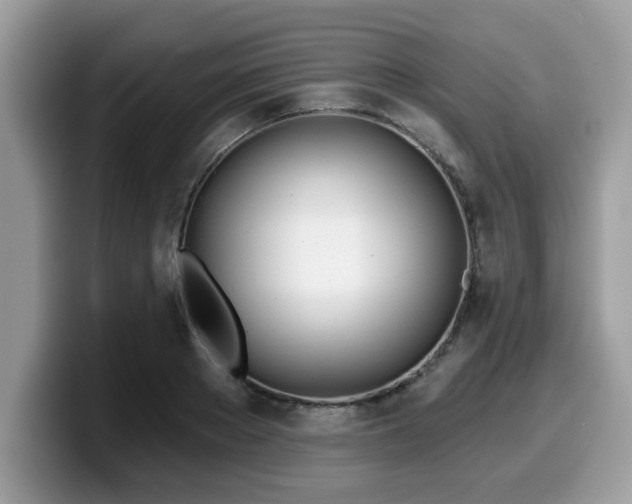 X0000099970889200805301331