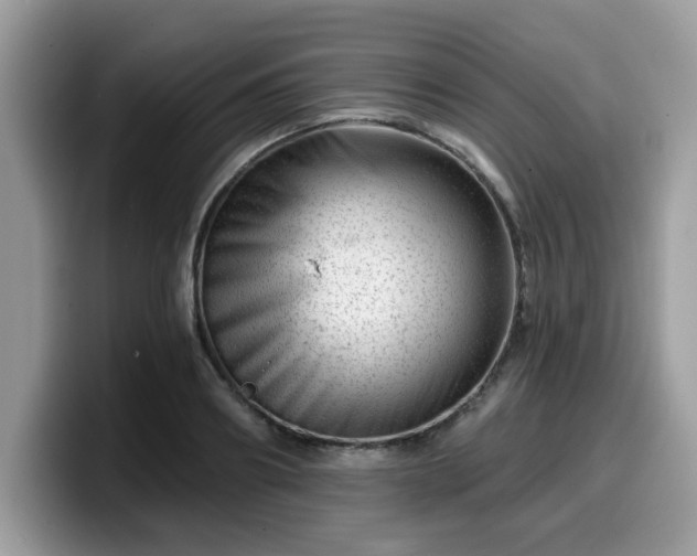 X0000099970890200805301331