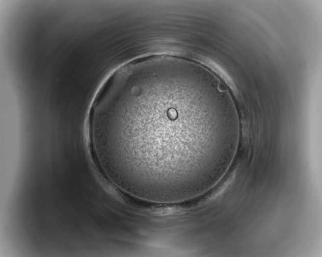 X0000099970891200805301331