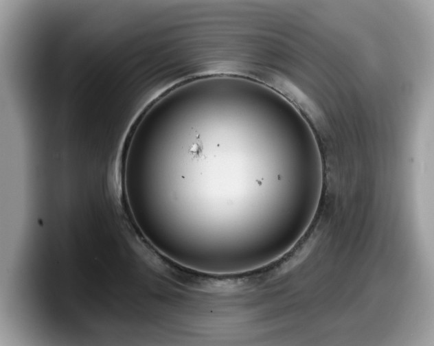 X0000099970892200805301331