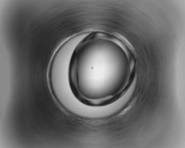 X0000099970893200805301331