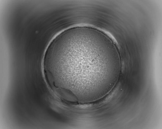 X0000099970895200805301331