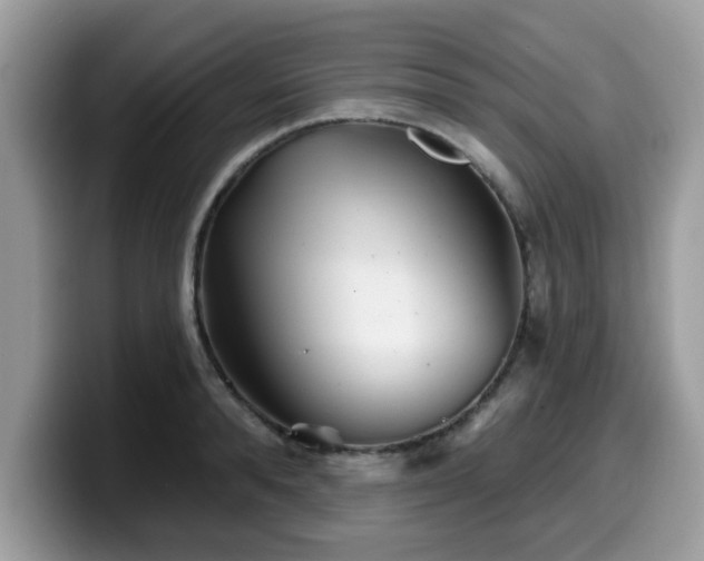 X0000099970896200805301331