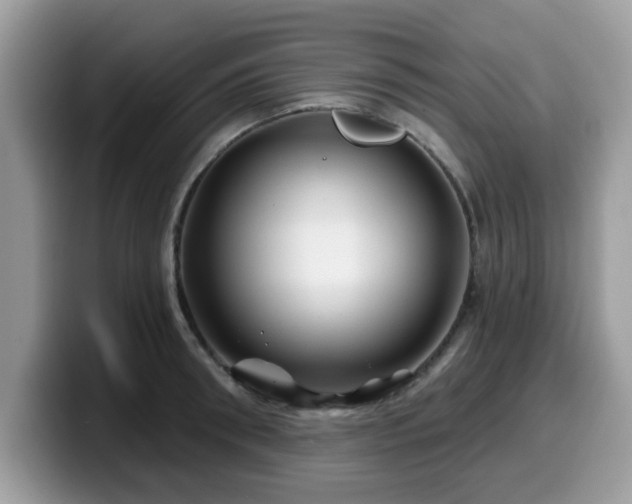 X0000099970898200805301331