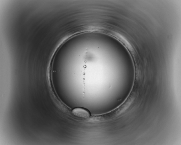 X0000099970899200805301331