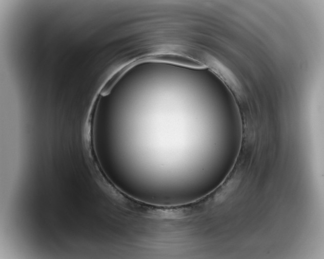 X0000099970900200805301331