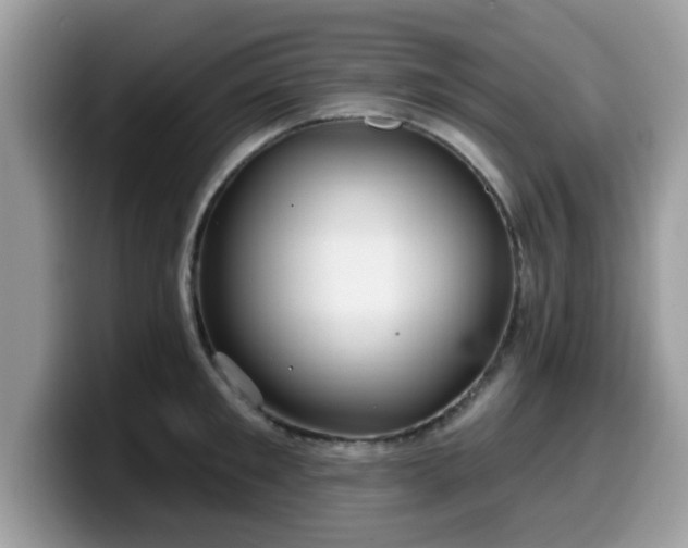 X0000099970901200805301331