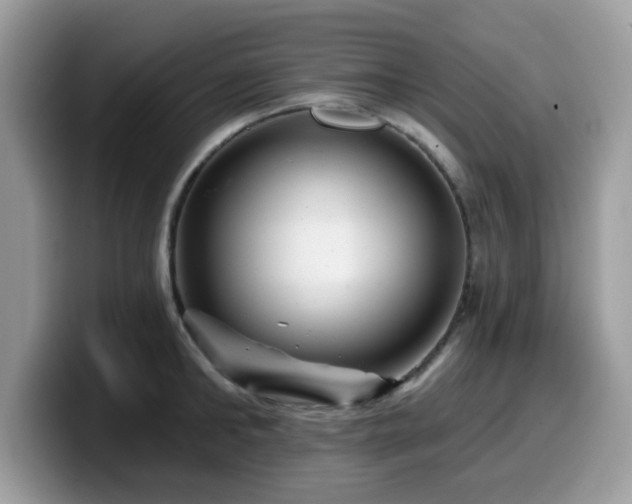 X0000099970902200805301331