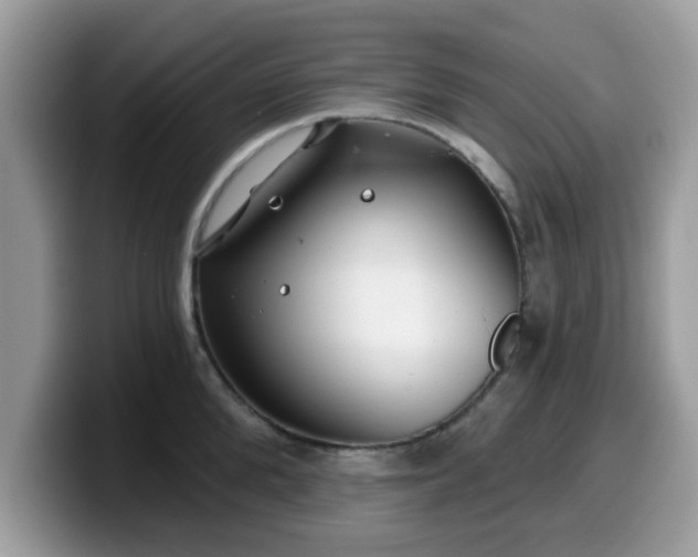 X0000099970904200805301331