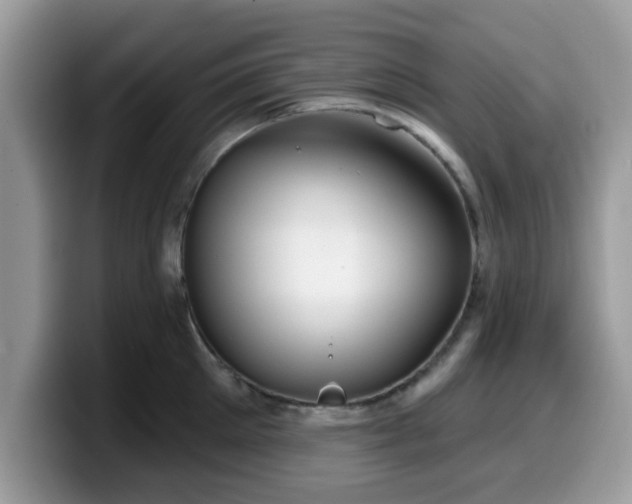 X0000099970905200805301331