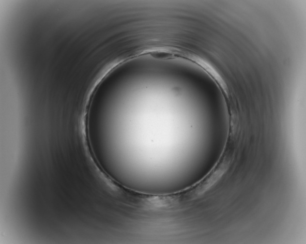 X0000099970906200805301331