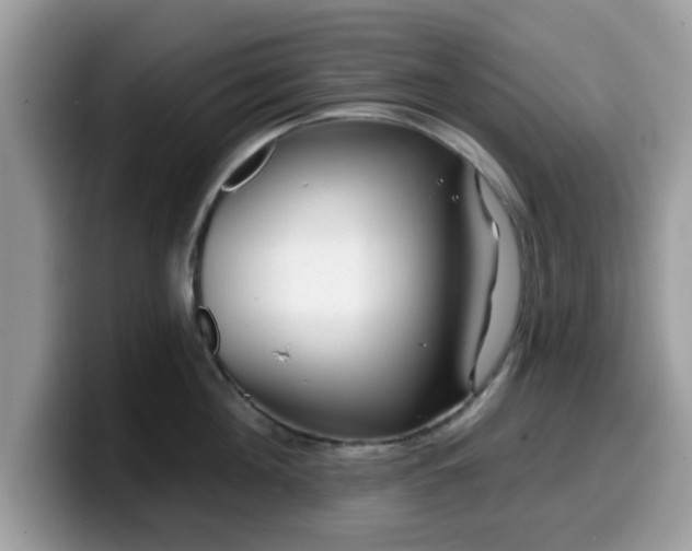 X0000099970908200805301331