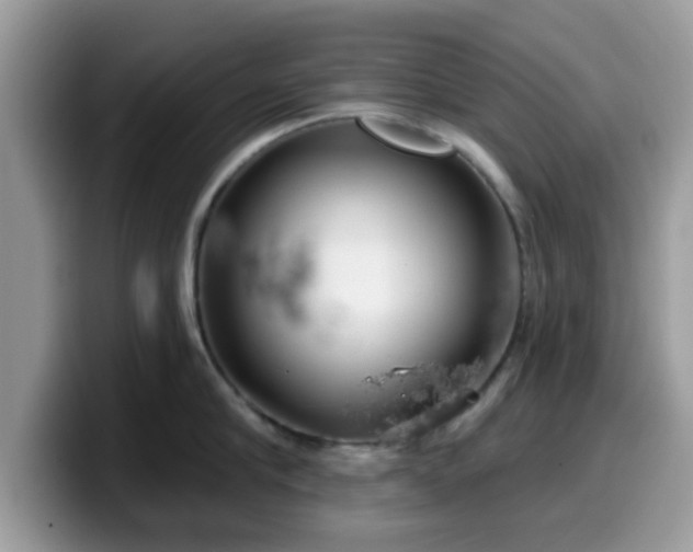 X0000099970910200805301331