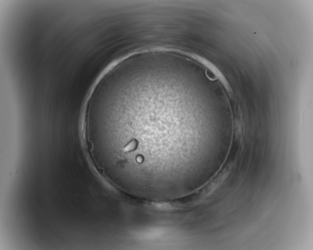 X0000099970911200805301331