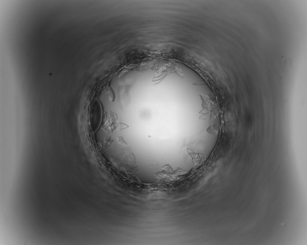 X0000099970913200805301331