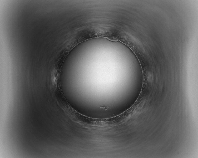 X0000099970914200805301331