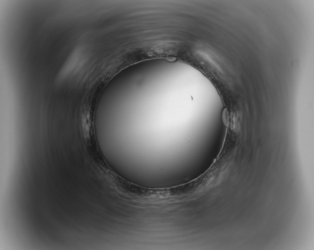 X0000099970915200805301331