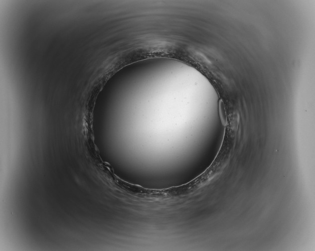 X0000099970916200805301331