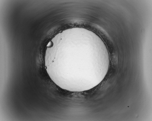 X0000099970918200805301331