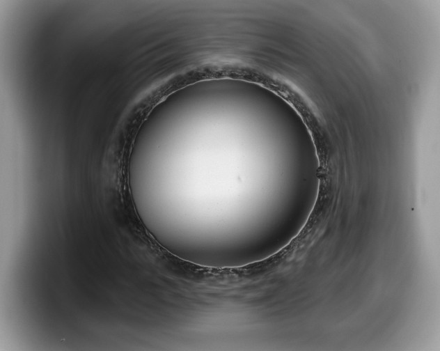 X0000099970919200805301331