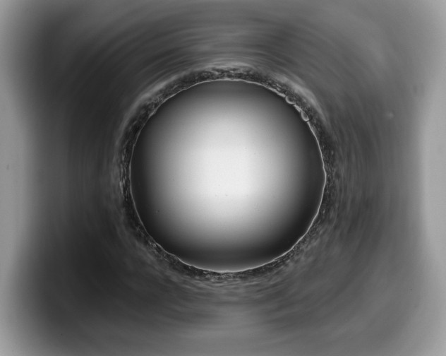 X0000099970920200805301331