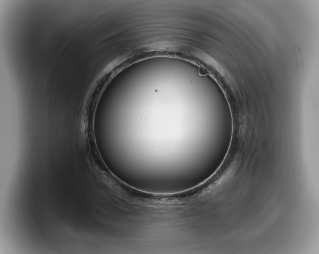 X0000099970922200805301331