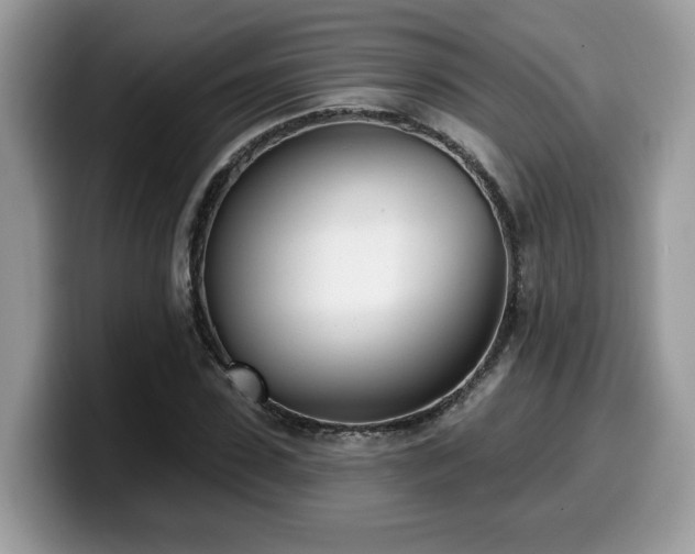 X0000099970923200805301331