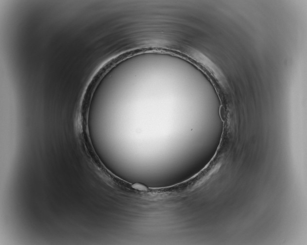 X0000099970924200805301331