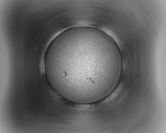 X0000099970925200805301331