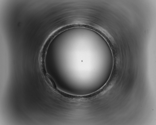 X0000099970926200805301331