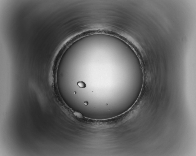 X0000099970927200805301331