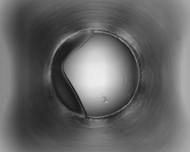 X0000099970928200805301331