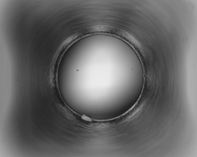 X0000099970930200805301331