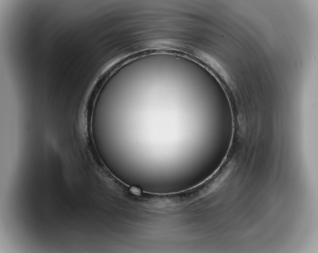 X0000099970931200805301331