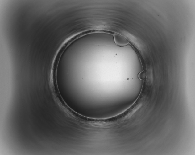 X0000099970932200805301331