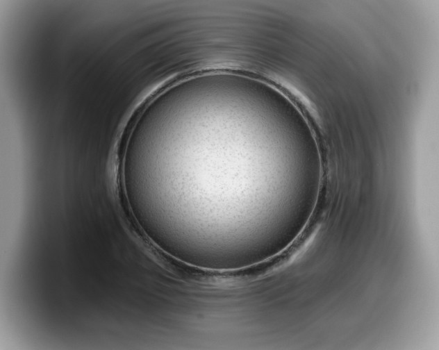 X0000099970933200805301331